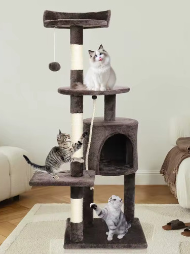 Arbre chat cadre - -,