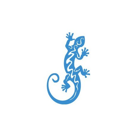 Salamandre autocollant sticker