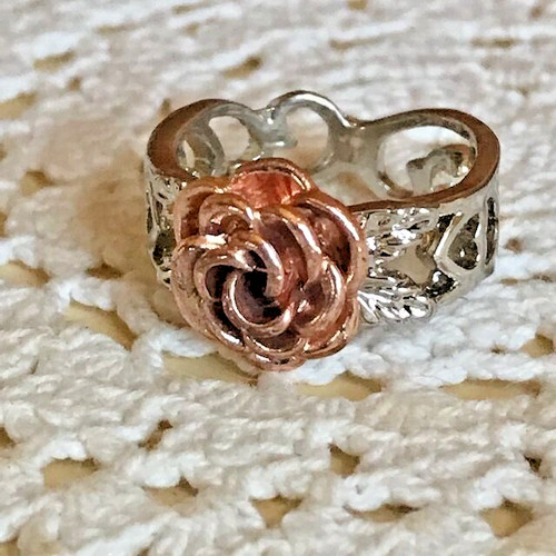 Bague anneau argenté avec