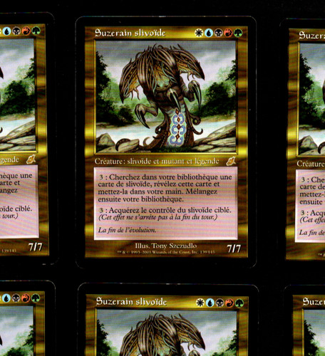 Mrm vf suzerain slivoïde - suzerain,