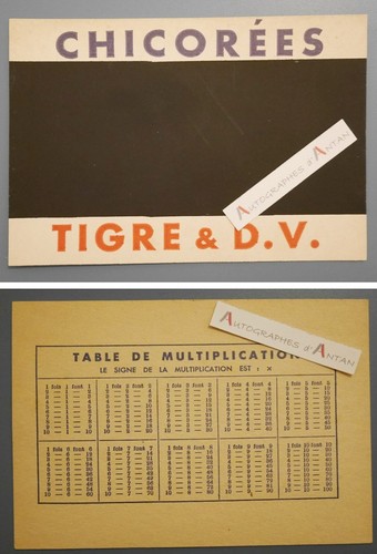 Chicorées tigre d - chicorées, &