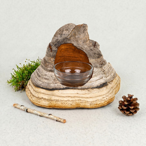 Cendrier champignon cigare - cendrier, à