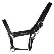 Equest Licol En Cuir Inscrit