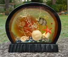 Inclusion en résine années