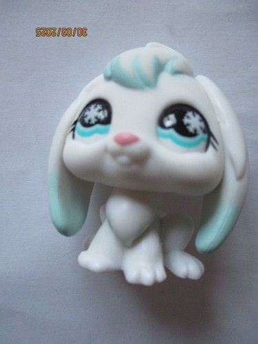 Petshop lapin belier - lapin,