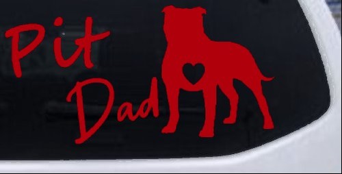 Pit bull pitbull - pitbull, with