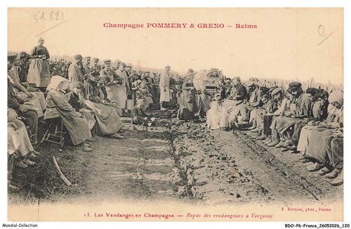 Bdop6 0552 champagne - -,