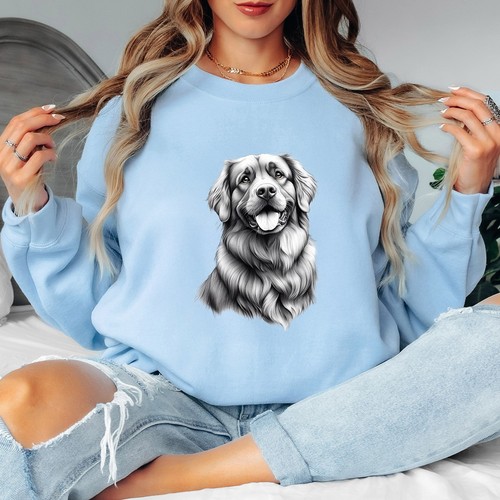 Pull croquis golden retriever - croquis,
