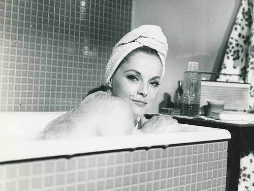Sexy virna lisi bambole - virna,
