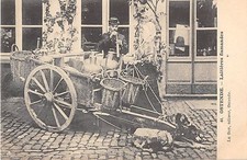 CPA BELGIQUE OSTENDE LAITIERE FLAMANDE (dos non divisé) ATTELAGE A CHIENS