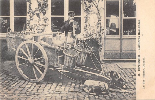 Cpa belgique ostende laitiere - cpa,