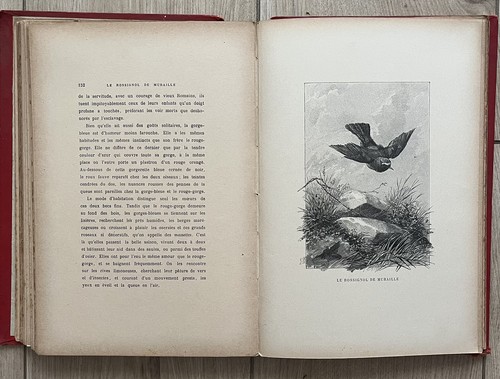 Livre ancien nos - livre, 1898