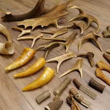 34 X Pièces De Bois De Cerf