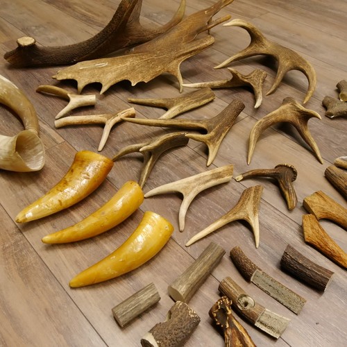 Pièces bois de - x,