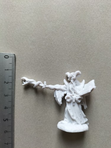 Leisynn mercenary mage human - mage,