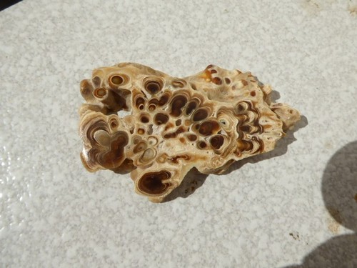 Tranche aragonite polie - tranche, d'aragonite