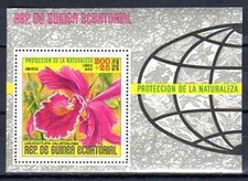 Fleurs - Orchidées Guinée