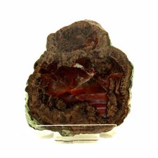 Lithophyse. 1742.0 ct. Massif