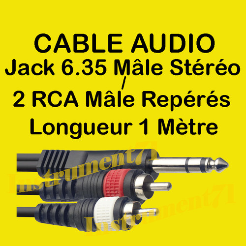 Câble jack 35 - 1,