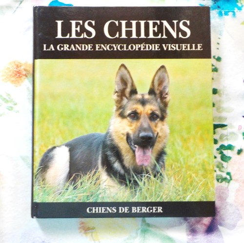 Chiens berger les - de,