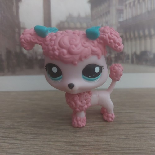 Petshop chien caniche rose - chien,
