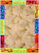 KEFIR DE LAIT 20 g grains