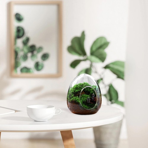 Vase fleurs forme d - en, d'oeuf