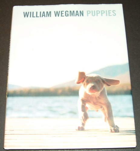 William wegman puppies by - william,