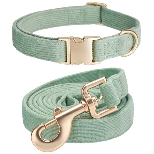 Ensemble collier laisse - collier, et