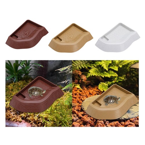 Bassin bain tortue avec - tortue,
