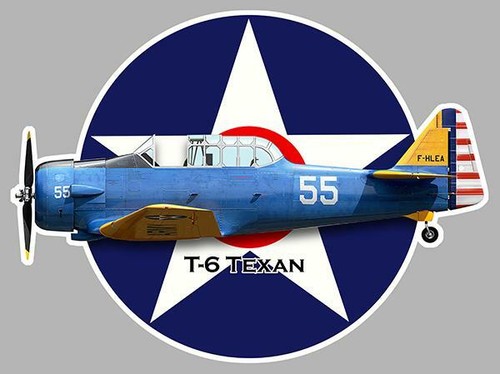 Texan sticker vinyle - texan,