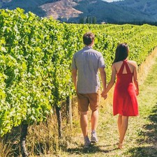 Pays viticole franconien 3T | bon de voyage Basse-Franconie 2P | hôtel 3* | Würzburg 