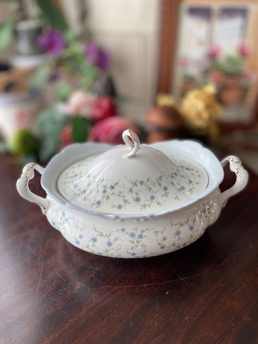Plat légumier porcelaine - plat,