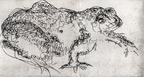 Jean henri fabre - crapaud, /