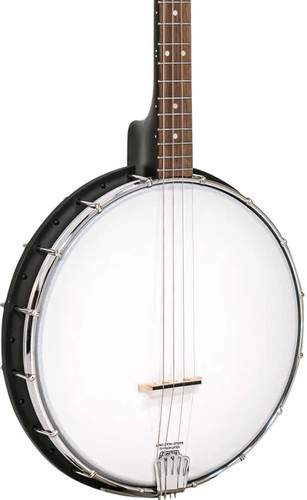 Gold tone it - it, acoustic