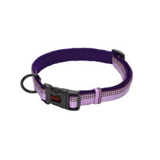 Collier Confortable HALTI - Un Collier pour Chien Rembourré en Néoprène Doux ...
