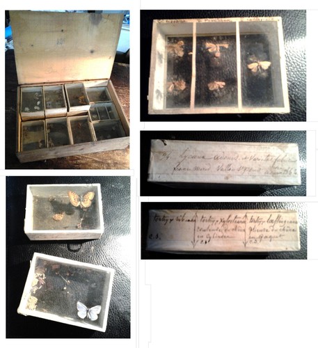 Tres rare unique ancienne - unique, :