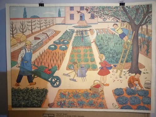 Affiche scolaire rossignol - affiche,