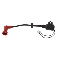 Bobine d'allumage pour moteur