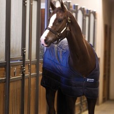 Horseware Liner 100g - Marine