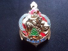 Insigne 2° Cie Régiment de Marche du Tchad - OPEX - Daman - Liban - Matriculé