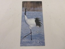 FICHE 469 PHOTO ANIMAUX OISEAU Les GRUES d'HOKKAIDO - Un ANIMAL Une ILE