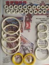 FLIPPER-WILLIAMS-AZTEC-KIT