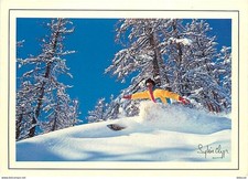 Sport - Planche à Voile - CPM