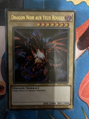 Dragon noir aux yeux - gi, oh