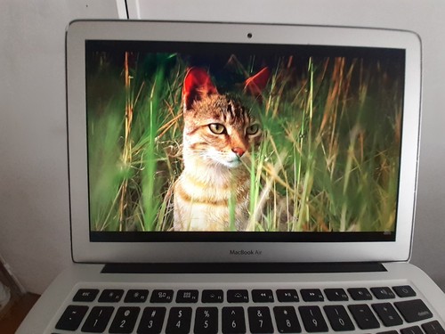 Ordinateur portable macbook - ordinateur,