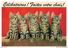 ASVP14-1072-CHAT - Bengal - Celibataires faites votre choix