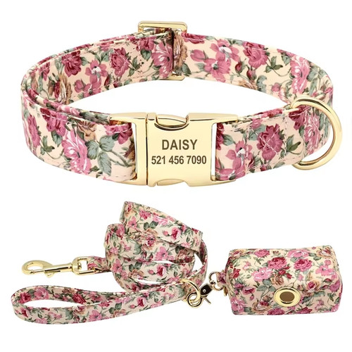 Ensemble colliers chien - ensemble, de