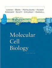 Moléculaire Cellule Biology