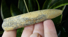 Rostres de bélemnite fossiles